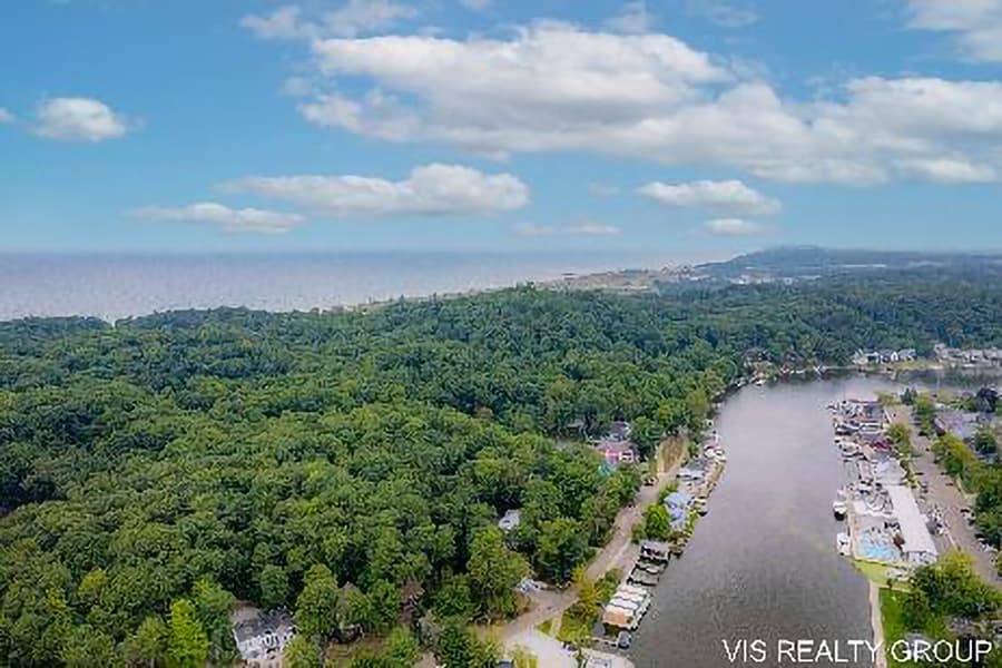 Aerial view of a lush, green forest bordering a river with a community and boats along the shoreline.